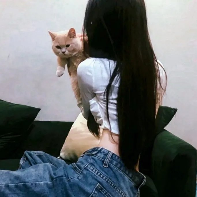 我不是精英
