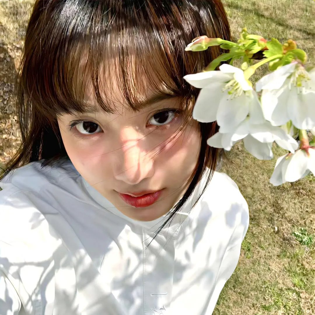 舰队收藏